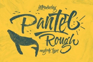 Download Pantel Rough - Rough Collection